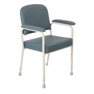 Aspire Low Back Classic Day Chair